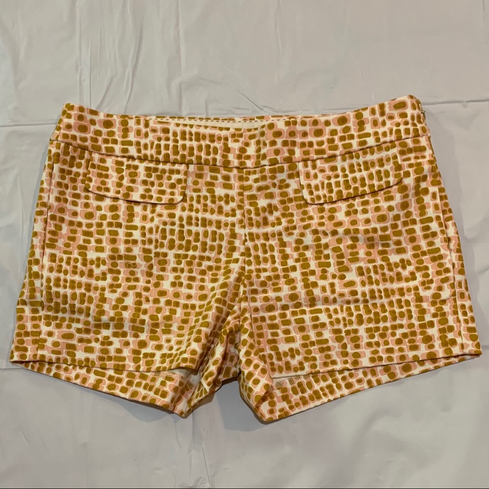 ON HOLD JCrew Shorts 4